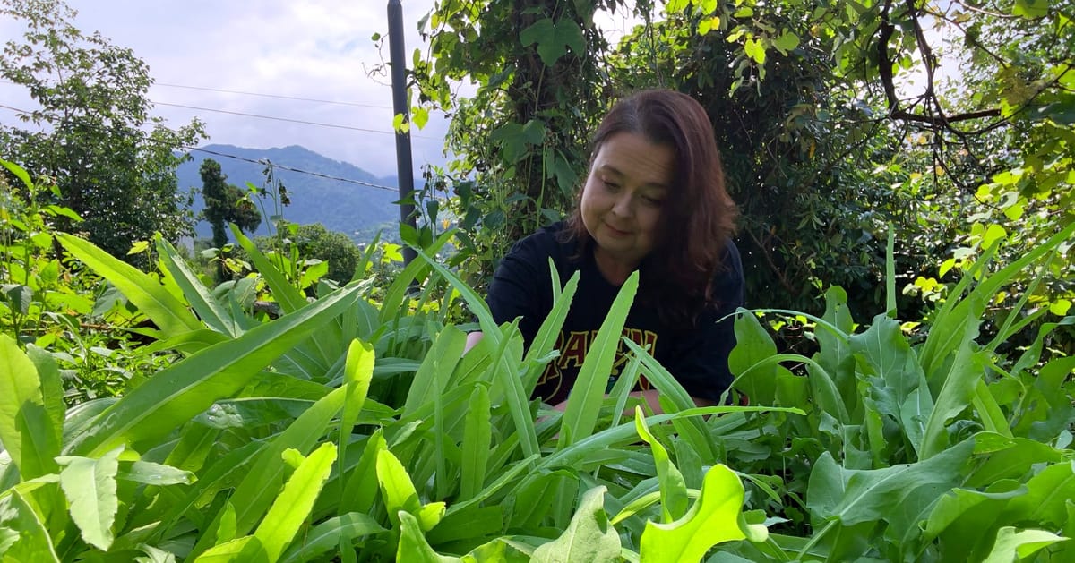 Growing Asian Greens and Spices in My Garden