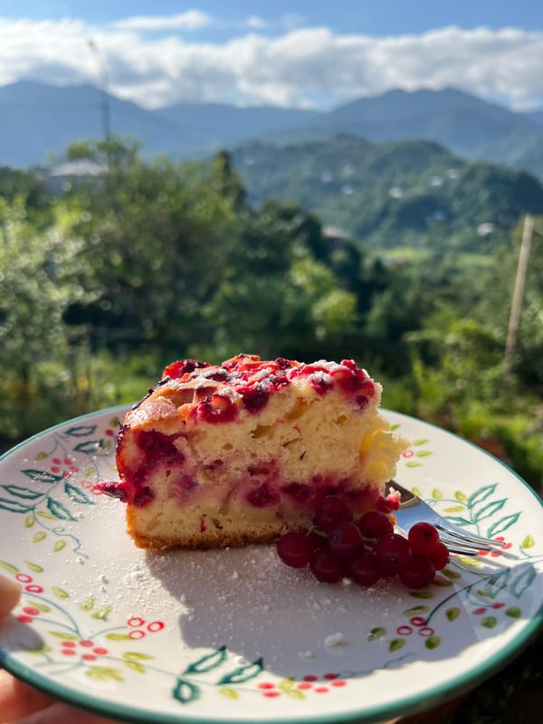 Red currant cake topped with fresh berries on a white plate